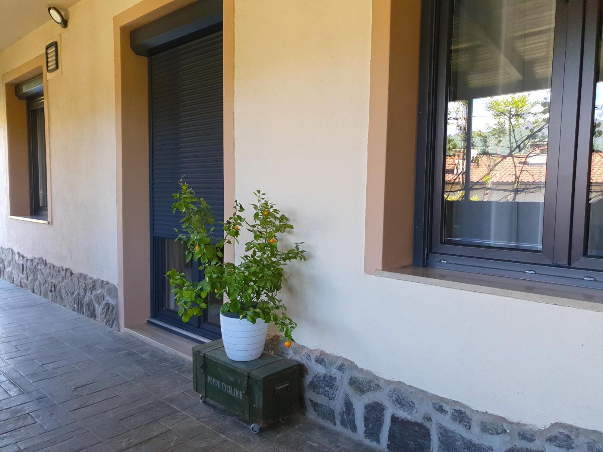 Apartment With Terrace Nona Pavla Tolmin Ngoại thất bức ảnh
